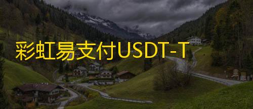 王者Git内核公益彩虹易支付USDT-TRC20支付收款插件